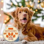 بالم مرطوب کننده و ضد ترک پنجه و بینی حیوانات Paw Balm مدل YEGBONG
