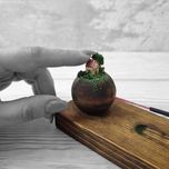 جاعودی چوبی مدل کلبه