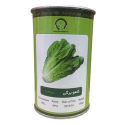 بذر کاهو برگی پاکان بذر مدل PB100G-12