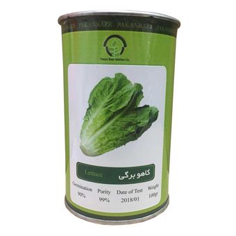بذر کاهو برگی پاکان بذر مدل PB100G-12