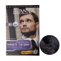 کیت رنگ مو بنسای شماره 02 حجم 50 میلی لیتر رنگ قهوه ای دودی