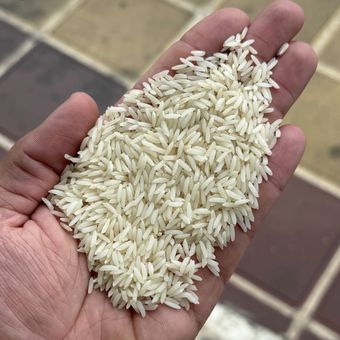 برنج هاشمی فریدونکنار  - 5 کیلوگرم