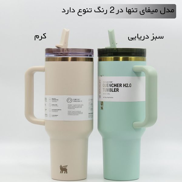 تروال ماگ استنلی