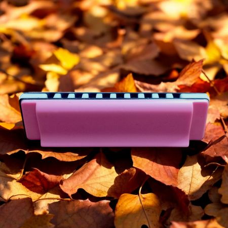 بازی آموزشی موزیکال مدل سازدهنی