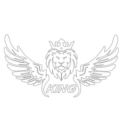 برچسب بدنه خودرو طرح بال کد SB0101