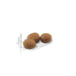 غذای خشک گربه رویال کنین مدل بالغ عقیم شده وزن 2 کیلوگرم