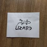 برچسب بدنه خودرو لیزارد مدل مذهبی طرح فدک کد LIRD002*903