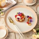 بشقاب غذاخوری زی مدل فرم اس کد  24 پاستل درجه عالی بسته شش عددی	