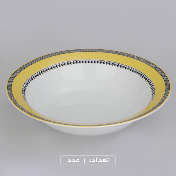 سرویس چینی 102 پارچه غذا خوری چینی زرین ایران سری ایتالیا اف مدل ویلیج درجه یک