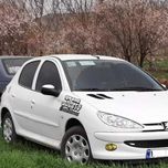 برچسب بدنه خودرو سن آندریاس کد GTA VG02