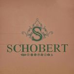 ساعت دیواری شوبرت مدل 6784*704