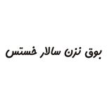 برچسب بدنه خودرو لیزارد مدل فانتزی طرح بوق نزن سالار خستس کد LZD-772