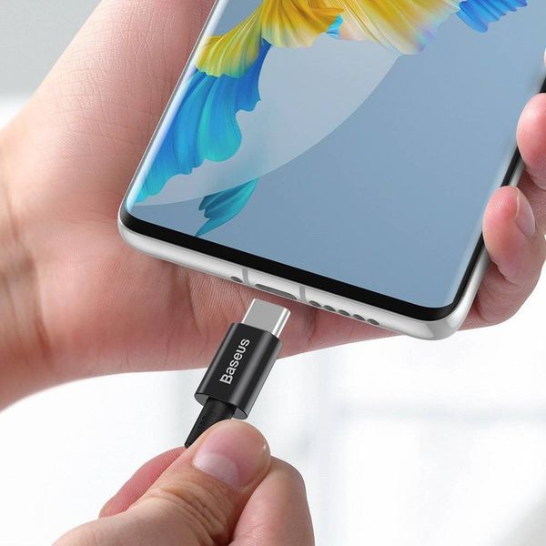 کابل USB-C به USB-C باسئوس مدل Superior-100W طول 1 متر