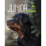 مکمل سگ بالغ و جوان بایو پت مدل Junior وزن 400 گرم