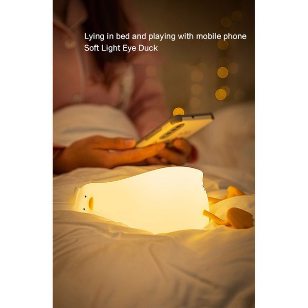 چراغ خواب اردک