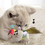 اسباب بازی پرنده موزیکال برای گربه