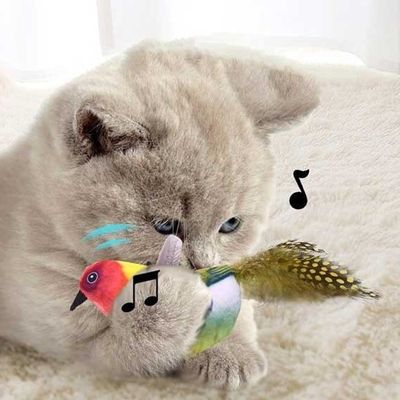 اسباب بازی پرنده موزیکال برای گربه
