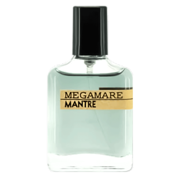 ادکلن مردانه MEGAMARE