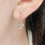 گوشواره  نقره ستاره
