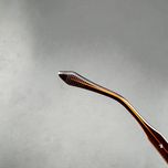 عینک آفتابی پنتوس (Pantos) آلبرت وگ مدل SZ8108 Mahogany Obsidian