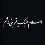 برچسب بدنه خودرو لیزارد مدل مذهبی طرح السلام علیک یا قمر بنی هاشم کد LZD-524