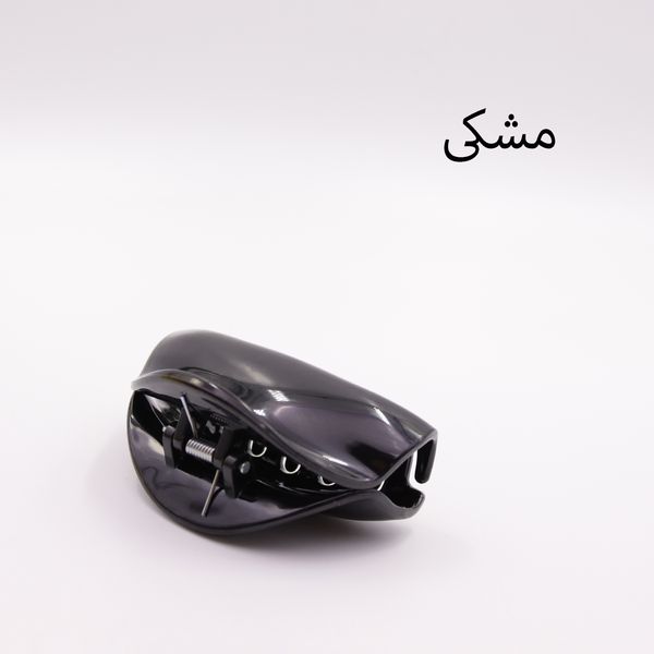 کلیپس مو زنانه مدل 251