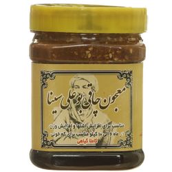 معجون چاقی بوعلی سینا نارگیل دار اصلی- 500 گرم بسته 2 عددی