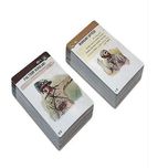 بازی فکری مدل بی باکان نیروی کمکی