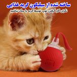 توپ هوشمند پت
