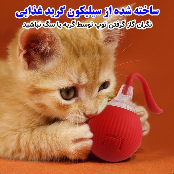 توپ هوشمند پت