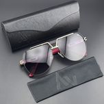 عینک آفتابی خلبانی (Aviator) مردانه آلبرت وگ مدل JS8549-C218-P120 Polarized Avantgarde Visionary