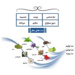 عطر جیبی یاغیش مدل CK10 حجم 24 میلی لیتر مجموعه 4 عددی