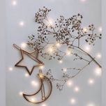 گیره مو زنانه مدل ماه و ستاره بسته 2 عددی*955