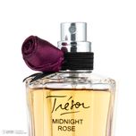 ادوپرفیوم زنانه ایفوریا مدل لانکوم ترزور میدنایت رز حجم 75 میلیلیتر