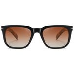 عینک آفتابی ویفرر (Wayfarer) آلبرت وگ مدل S31127C3 Acetate Avantgarde Visionary