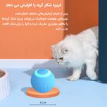 توپ هوشمند پت