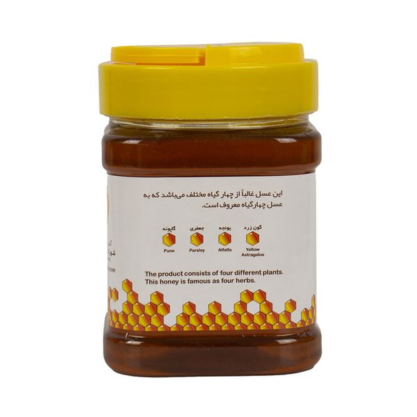 عسل چهار گیاه ممتاز خوانسار - 500 گرم 12 عددی