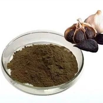 خرید پودر سیر سیاه فله درجه یک