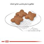 غذای خشک رویال کنین مدل مینی ادالت وزن 2000 گرم