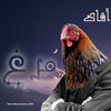 پرهام آقاجانی بیگی