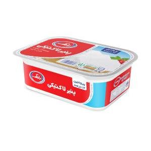 پنیر لاکتیکی 270 گرمی