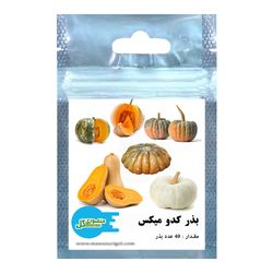 بذر کدو میکس منصوری گل کد Mk40 وزن 8 گرم