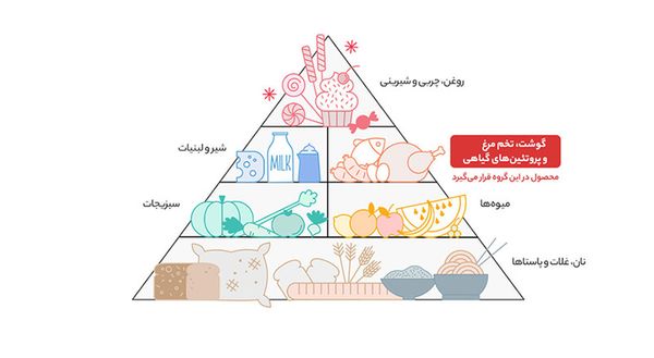 سوپ نیمه آماده مرغ الیت مقدار 61گرم باکس 12عددی