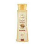 شامپو مو پروتئینه جوانه گندم سینره مدل Wheat Germ حجم 250 میلی‌لیتر
