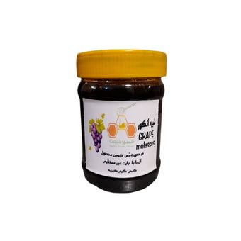 شیره انگور طبیعی شهر طبیعت 450 گرم