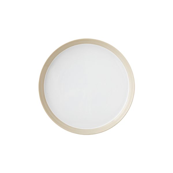 پیش دستی زی مدل فرم اس تخت کد 18 پاستل درجه عالی	بسته 6 عددی