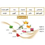 ادوپرفیوم زنانه ایفوریا مدل Flora by GUCCI با رایحه خنک حجم 100 میلیلیتر