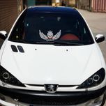 برچسب بدنه ی خودرو طرح بال کد SB101