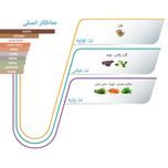 ادو پرفیوم مردانه ایفوریا مدل OMBER LEATHER با رایحه تلخ حجم 100 میلی لیتر