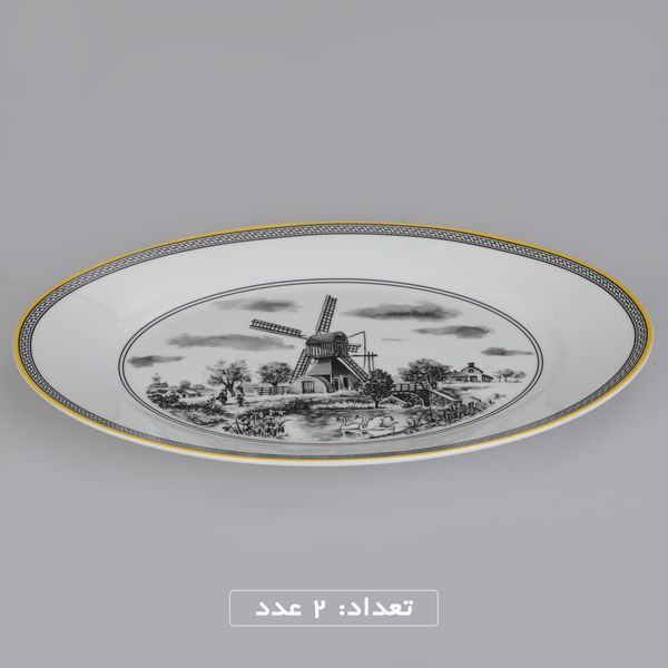 سرویس چینی 102 پارچه غذا خوری چینی زرین ایران سری ایتالیا اف مدل ویلیج درجه یک